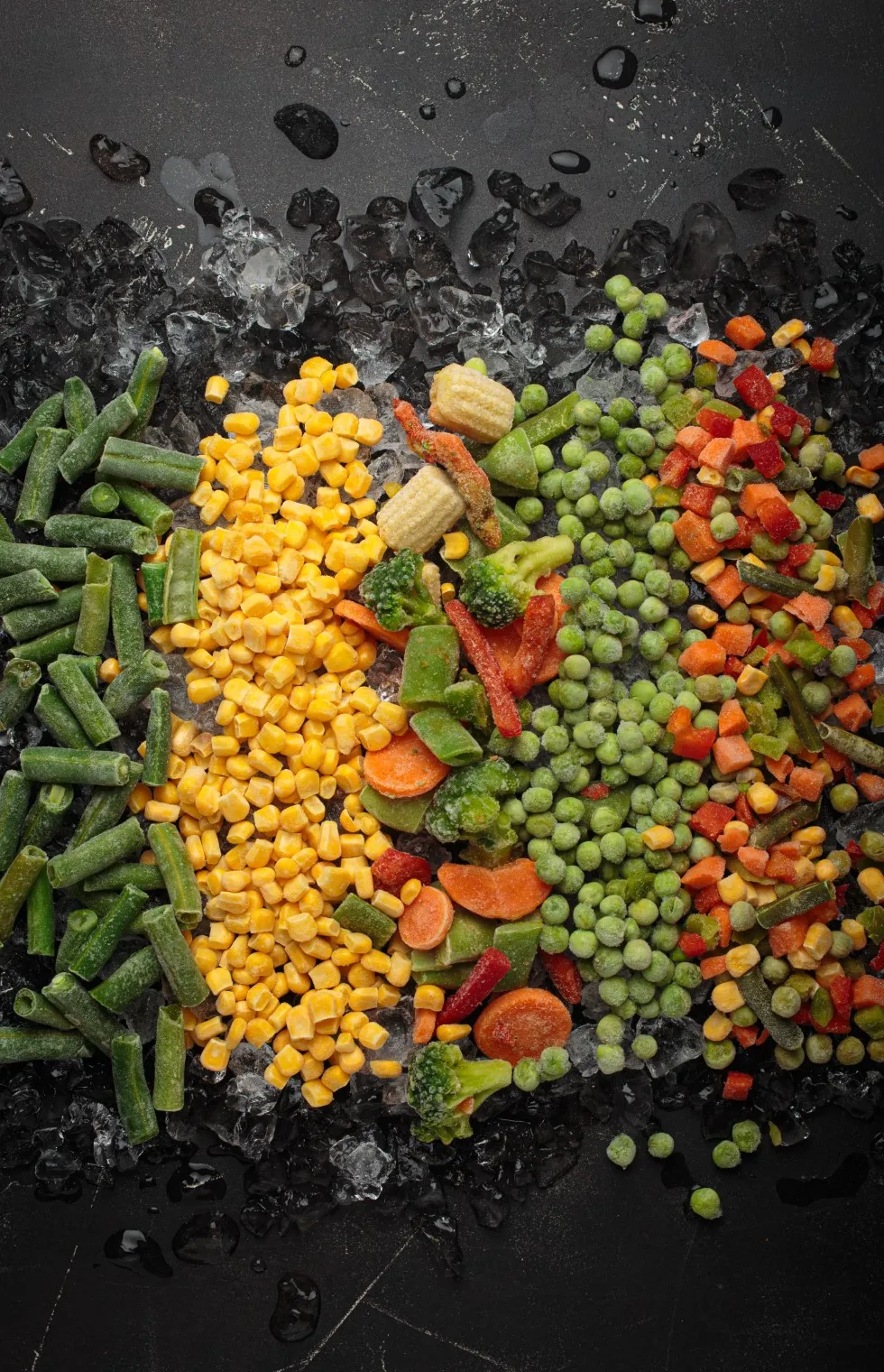 Symbolbild Tiefkühl-Sortiment